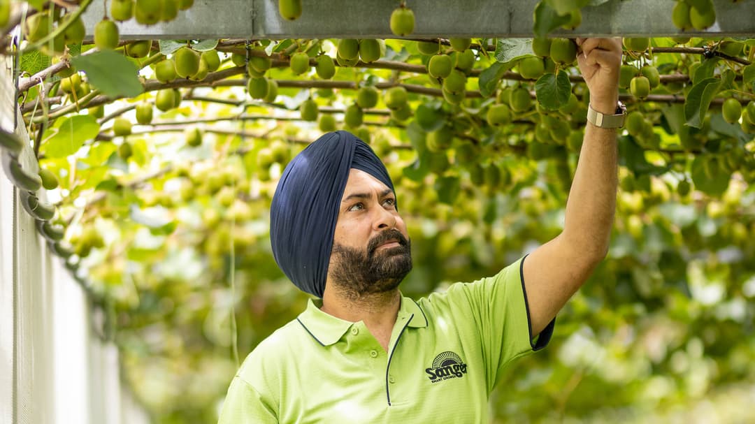 Summer Pruning