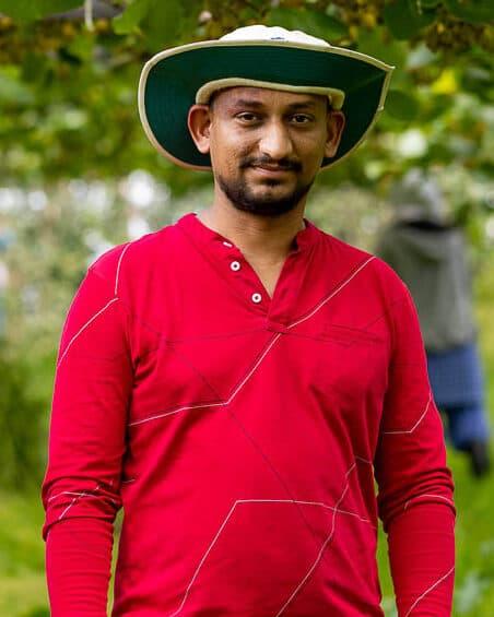 Kiwifruit Orchard Contracting