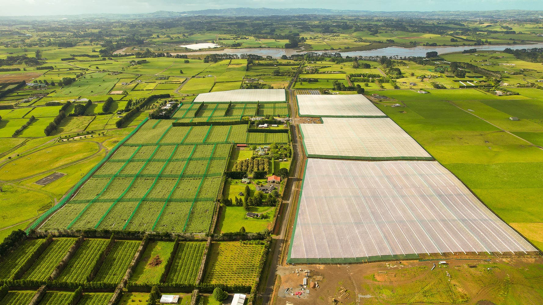 Kiwifruit Orchard Contracting