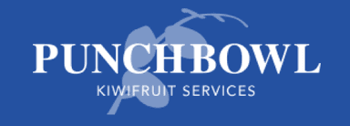 punch bowl logo