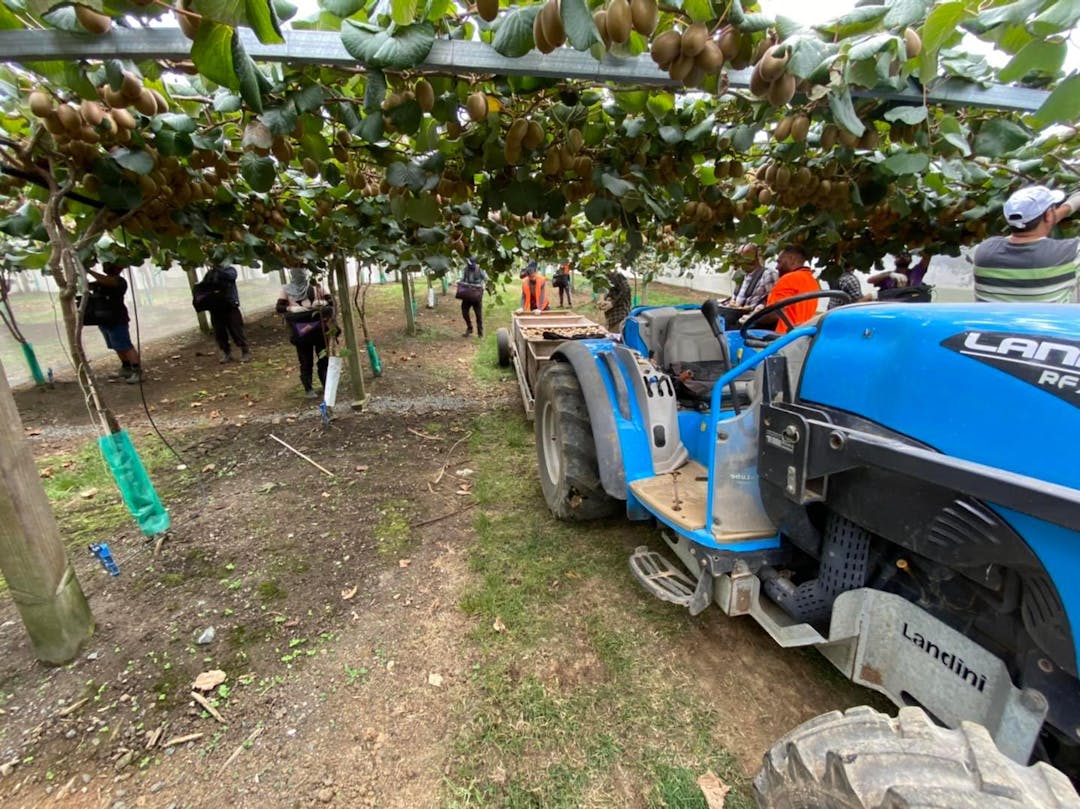 Harvesting